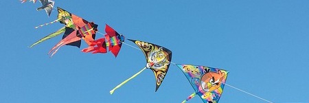 Energie update Witte Wind pad 6 - 18 november 2020: Kiezen met hart en ziel